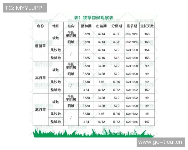 重庆乒乓球队实力深度解析与其他队伍的全面对比分析 重庆乒乓球队实力深度解析与其他队伍的全面对比分析